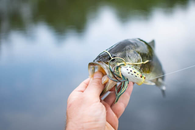 tips for morning bass fishing