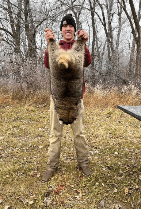 biggest raccoon in Missouri