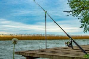 best fishing rod under $100