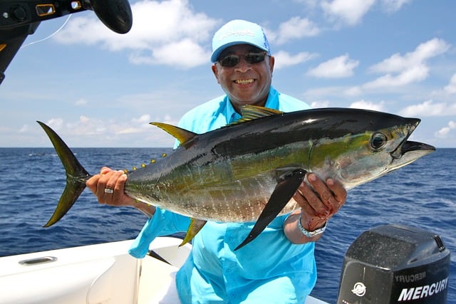 yellowfin tuna delicious saltwater fish