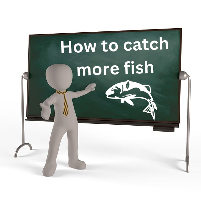 make money with a fishing course