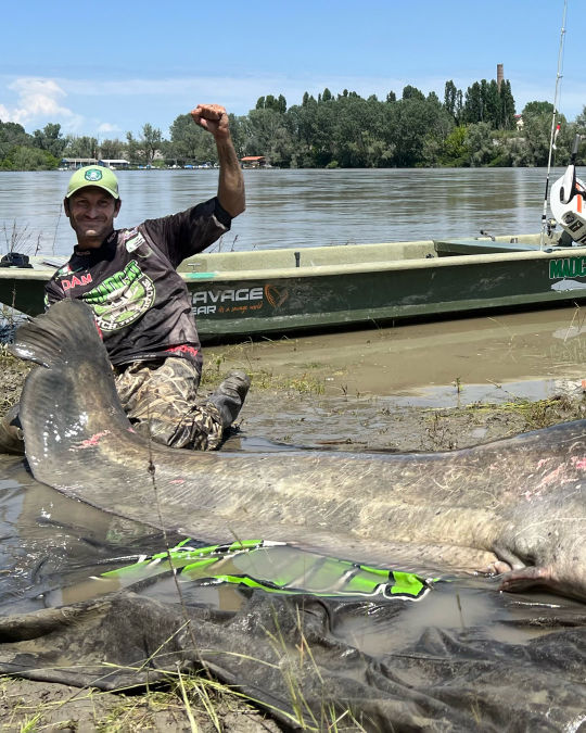 world's biggest catfish record