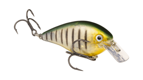 10 best squarebill fishing lures